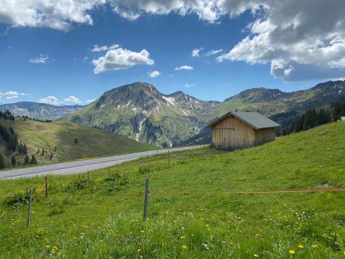 Apartment "Johann" Aktivurlaub Im Bregenzerwald เมลเลา ภายนอก รูปภาพ